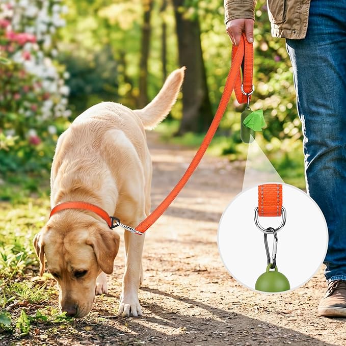 Joytale Dog Leash, 6 FT Double-Sided Reflective, Padded Handle Nylon Heavy Duty Leashes for Small Dogs Walking, Orange