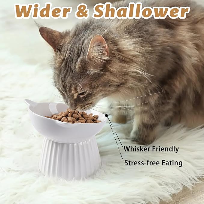 Wellbro Ceramic Raised Cat Bowl，Tilted Raised Bowl Anti Vomit Bowls for Indoor Cats Whisker Friendly Pet Feeder for Cats Puppies, Microwave and Dishwasher Safe