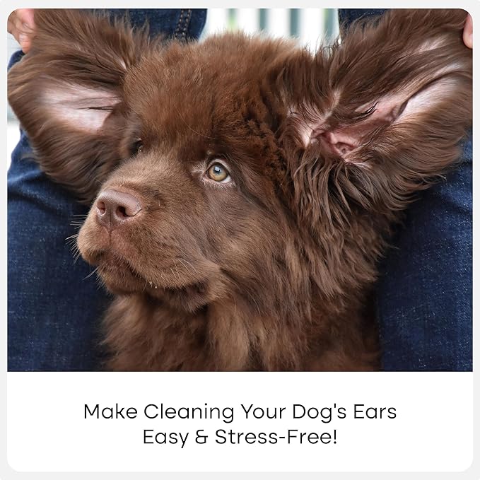 Uproot Clean Cat & Dog Ear Cleaner Finger Wipes (50ct.): Disposable Dog Ear Wipes Enriched with Shea Butter & Jojoba Oil - Cleaner Removing Wax Build Up, Help with Odor Discomfort