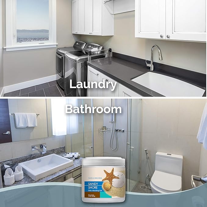 SMELLS BEGONE Air Freshener Odor Absorber Gel - 15 oz, Pack of 2 - Absorbs and Eliminates Odor in Pet Areas, Bathrooms, Cars, & Boats - Made with Essential Oils - Sandy Shore Scent