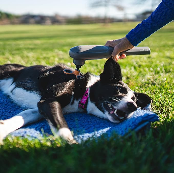 PERK Percussion Pet Massager for Dogs and Cats Designed to Help Massage Muscle Tightness, Improve Mobility and Recovery
