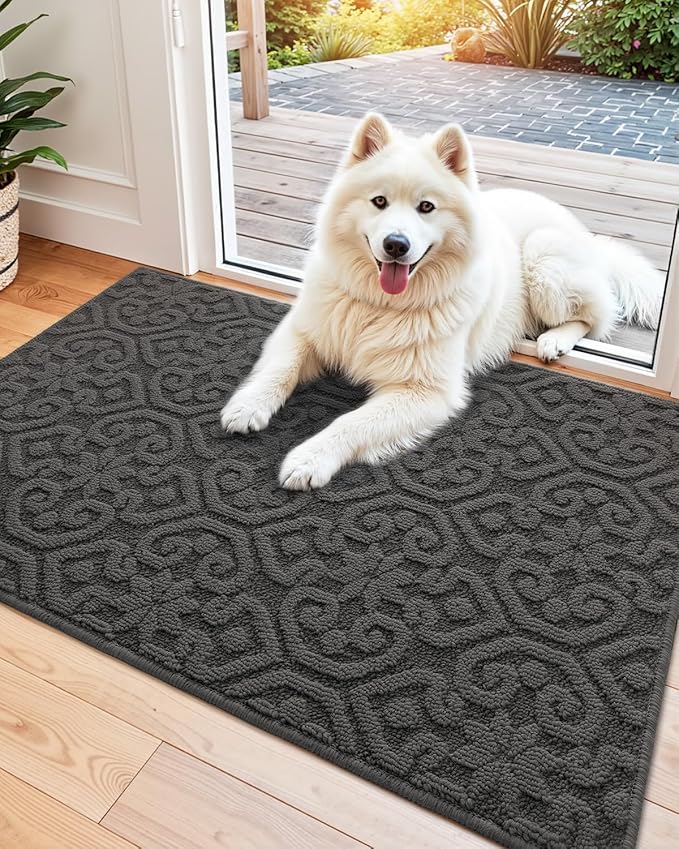 DEXI Front Door Entryway Mat Non Slip, 2x3 ft Washable Inside Entrance for House Floor Low Profile, Thin Entry Doormat Absorbent Dirt Trapper, Dark Grey