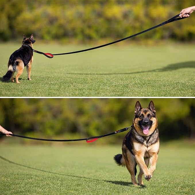 Primal Pet Gear Dog Leash 6ft Long,Traffic Padded Two Handle,Heavy Duty,Reflective Double Handles Lead for Control Safety Training,Leashes for Large Dogs or Medium Dogs,Dual Handles Leads(Pink)