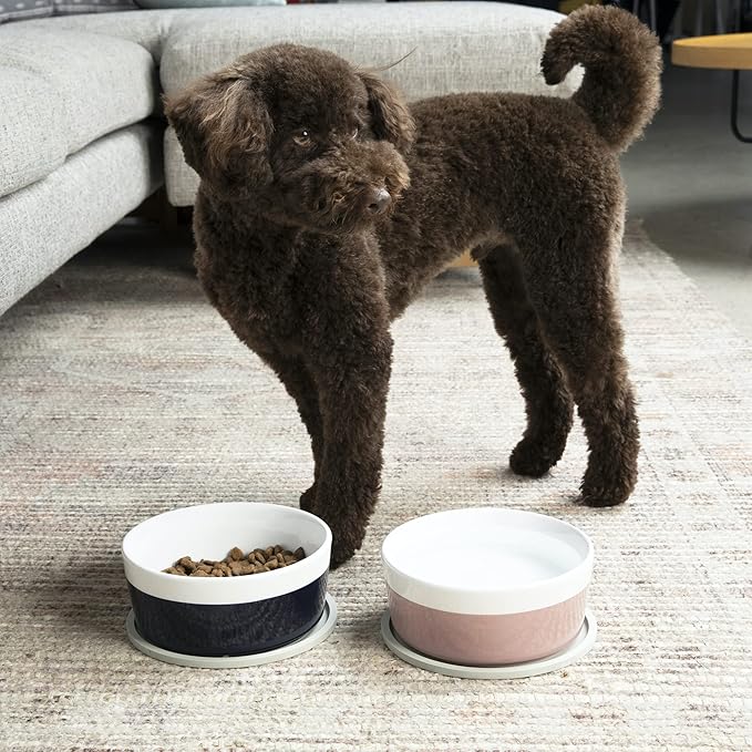 Waggo Habit Silicone Dog Placemat – Set of 2 Modern Heavyweight Silicone Dog Food Mats, Dishwasher Safe, Non-Slip, Solid Color – White (Large, 9")