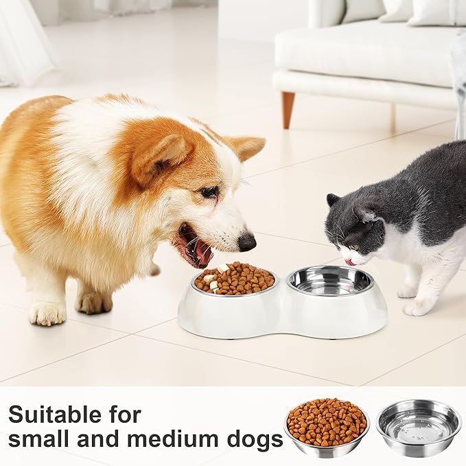 Petvillage Stainless Steel Dog Bowls Set – Dual Non-Slip Pet Dishes with 2 Small (4oz*2) Bowls & Durable Resin Stand,Food & Water Feeder for Kittens– White
