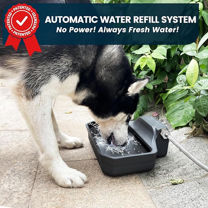 Automatic Dog Water Dispenser, 1 Gallon Auto-Fill Dog Water Bowl Dispenser for Indoor/Outdoor, Large Water Feeder for Pets & Livestock, Fits GHT 3/4" Faucet, BPA Free, Easy to Clean, Gray