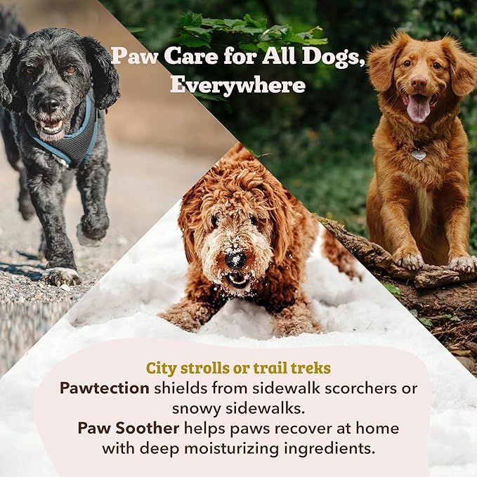 Natural Dog Company Paw Soother Travel Stick 0.15 oz – Pocket-Size Balm with Coconut & Hempseed Oils, Calendula & Vitamin E – Soothes Dry, Cracked Paw Pads – Lick-Safe, Vegan