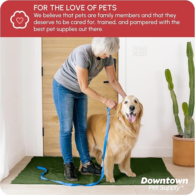 My Doggy Place Dog Mud Mat, 60" x 36" Chive – Thick Microfiber Entry Rug for Snow, Mud & Salt – Absorbent, Quick-Dry, Washer-Safe & Non-Slip, X-Large
