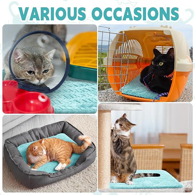 Drydiet 4 Pack Self Heating Cat Pad Self Warming Cat Bed Non Slip Warm Thermal Dog Pad Mat Washable Pet Kennel Crate Bed Mat for Pets Indoor Outdoor(Green,16 x 20 Inch)