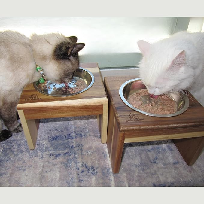 Raised Cat Bowls, 6.25 in Wide, 6" Elevated Cat Feeding Stand (with 2 Stainless Steel Bowls: 12 oz/1.5 Cup), Small Dogs, Rabbits, Anti-Vomit, Whisker Friendly, 6 x 8 x 8 in, Acacia Wood