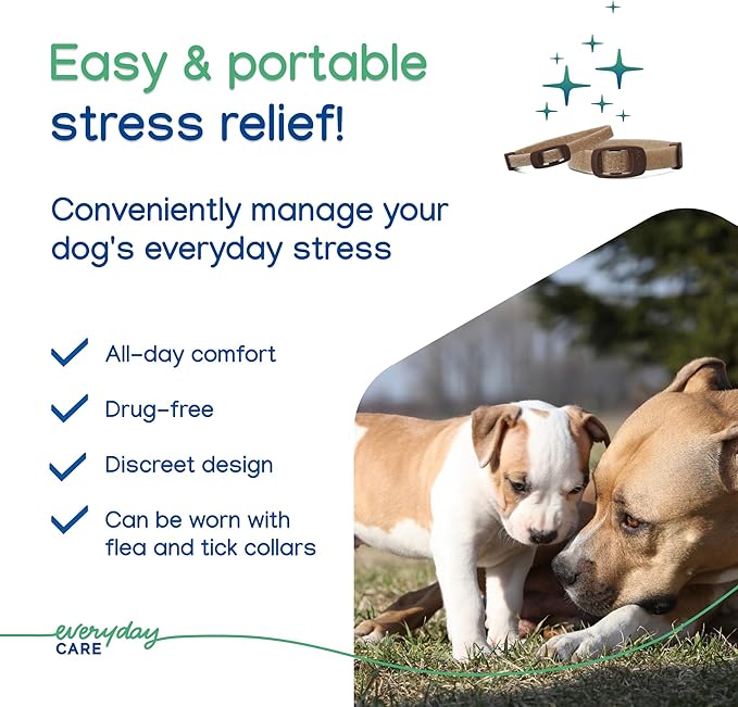 ZENIDOG Long-Acting Collar-Dog Calming Pheromone Collar for Stress Relief - Lasts up to 3 Months by Virbac