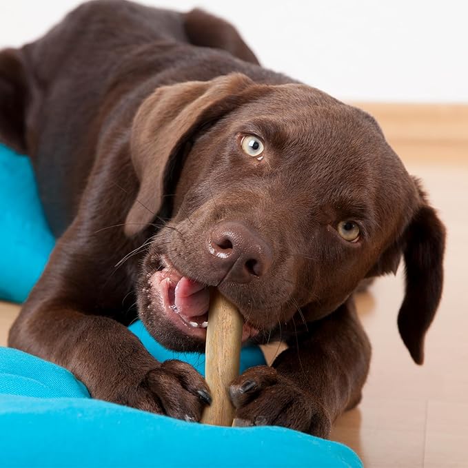 Wildfang® Coffee Wood Dog Chew, Large - Tough Chew Toys for Aggressive Chewers, Dog Teething Toys for Puppies, Training for Chewing Muscles, Coffee Tree Sticks for Large Dogs (55-99 lbs)