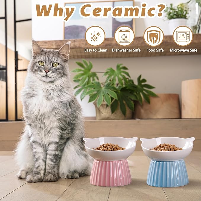 Wellbro Ceramic Raised Cat Bowl，Tilted Raised Bowl Anti Vomit Bowls for Indoor Cats Whisker Friendly Pet Feeder for Cats Puppies, Microwave and Dishwasher Safe