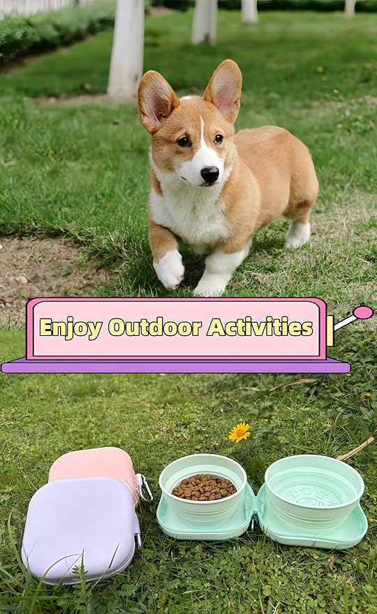 2-in-1 Collapsible Pet Bowl, Portable & Food-Grade for Dogs & Cats with Carabiner (Pink)