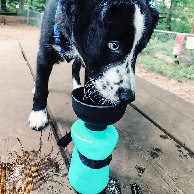 lesotc Dog Water Bottle, Portable Water Dispenser with Bowl, Leak Proof Pet Travel Squeeze Bottle, Puppy Essentials Dog Stuff Accessories for Outdoor Walking, Hiking, Camping