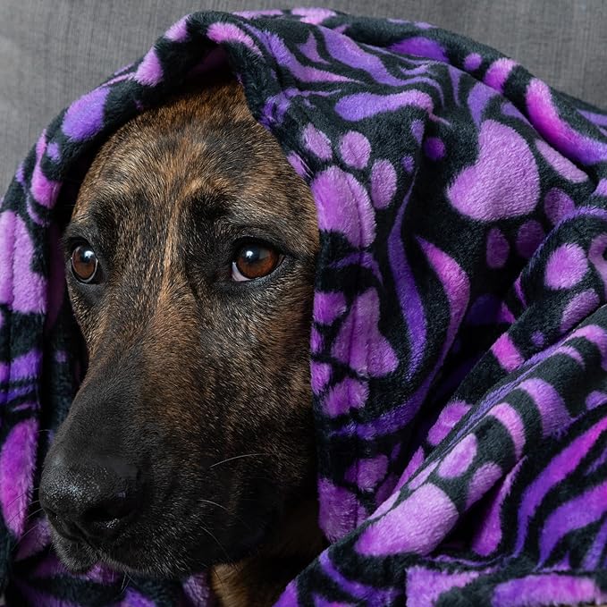 Pet Dog Cat Blanket Ultra Soft Cozy Fleece Paw Print Design Machine Washable Durable for Crates Beds Sofas Travel (Paw Buffalo Check - Purple, Medium)