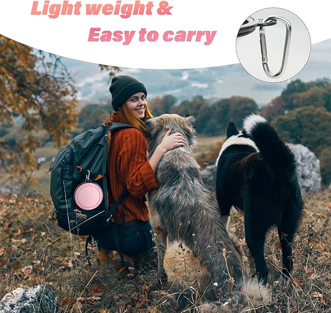 Dog Bowl Pet Collapsible Bowls, 2 Pack Collapsible Dog Water Bowls for Cats Dogs, Portable Pet Feeding Watering Dish for Walking Parking Traveling with 2 Carabiners (Large, Fairy Pink & Sprout Green)