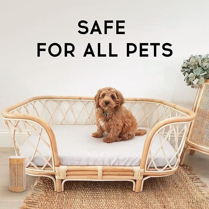 Activated Charcoal Bags - Odor Eliminator for Home - Air Purifying Bags - Bamboo Charcoal - Moisture Absorber - Closest Freshener