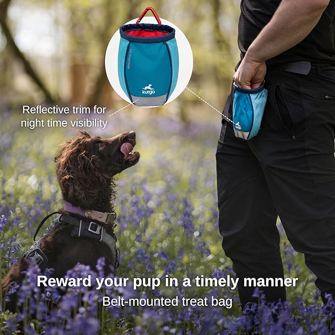 Kurgo Go Stuff It Dog Treat Bag, Training Treat Pouch Bag for Dogs, Treat Pouches for Pets, Hands-Free Pouch Waist, Reflective, Includes Carabiner (Coastal Blue)