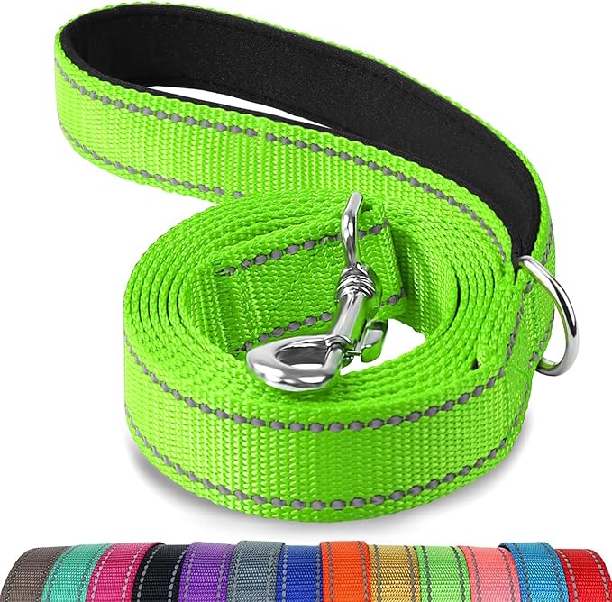 Joytale Dog Leash, 4 FT Double-Sided Reflective, Padded Handle Nylon Heavy Duty Leashes for Medium & Large Dogs Walking, Green