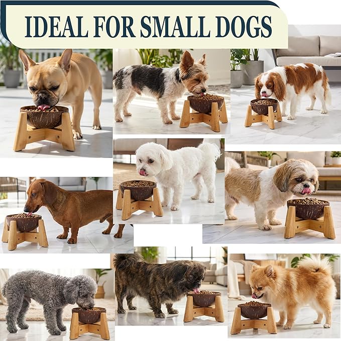 Dog Bowl for Cats and Small Dogs - All-Natural, Polished Coconut Shell Bowl with Wood Stand - Elevated/Raised 5-inch Total Height - Food-Contact Suitable