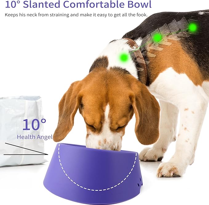 Pet Dog Food Bowl 10° Slanted ，Silicone Material， Easy to Clean Non-Skid & Non-Spill Easier to Reach Food L/2.5 Cups Purple