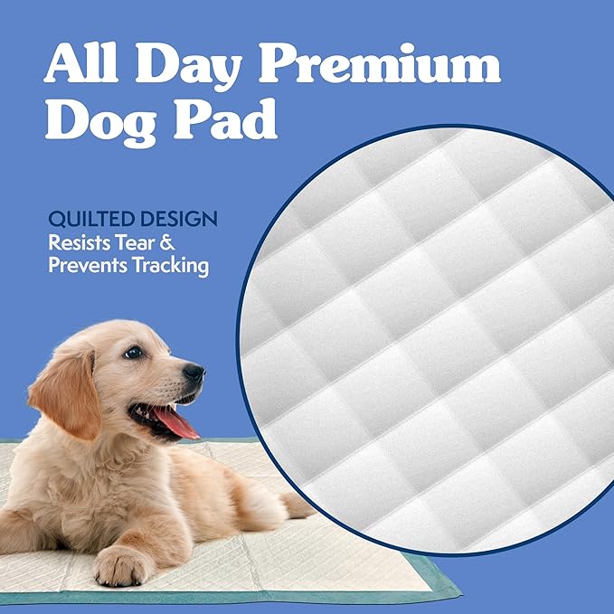 Simple Solution Extra Large Puppy Training Pads – Leak-Proof Disposable Pee Pads for Dogs with Incontinence – Absorbent with Odor Control – 28 x 30 Inches – 200 Count