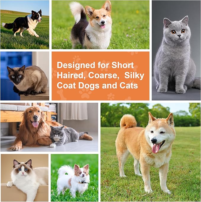 GROOMAGE 2 in 1 Pin and Boar Bristle Brush for Dogs & Cats, Shedding Grooming Dog Brush for Short Haired Dogs, Cats, Pets with Beech Wood Rubber Handle