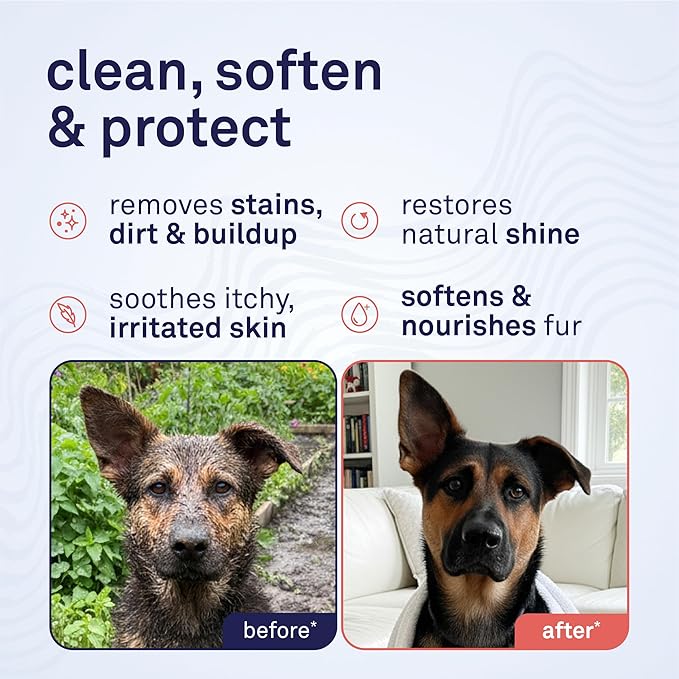 Petpost | Argan Shampoo for Dogs. Dog Shampoo with Argan Oil & Aloe. Moisturizes Dry Skin, Softens Coat, Restores Shine. 16 oz