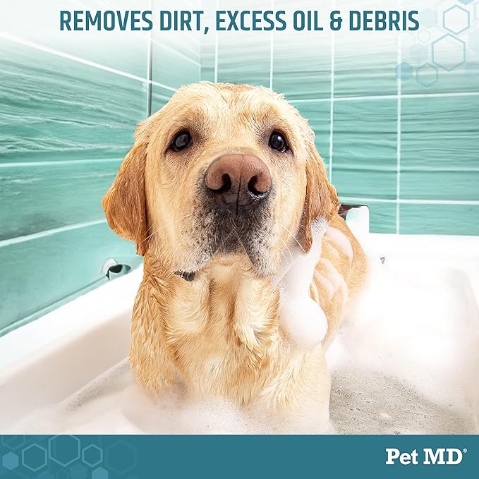 Pet MD - Benzoyl Peroxide Medicated Shampoo for Dogs and Cats - Effective for Skin Conditions, Dandruff, Itch Relief, Acne and Folliculitis - Citrus Scent - 12 oz