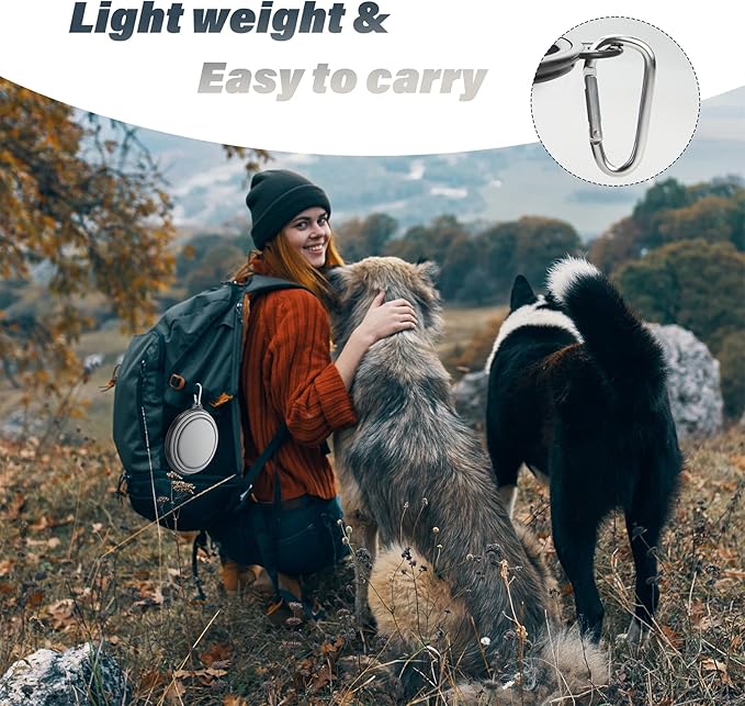 Dog Bowl Pet Collapsible Bowls, 2 Pack Collapsible Dog Water Bowls for Cats Dogs, Portable Pet Feeding Watering Dish for Walking Parking Traveling with 2 Carabiners (Large, Purple & Concrete Gray)