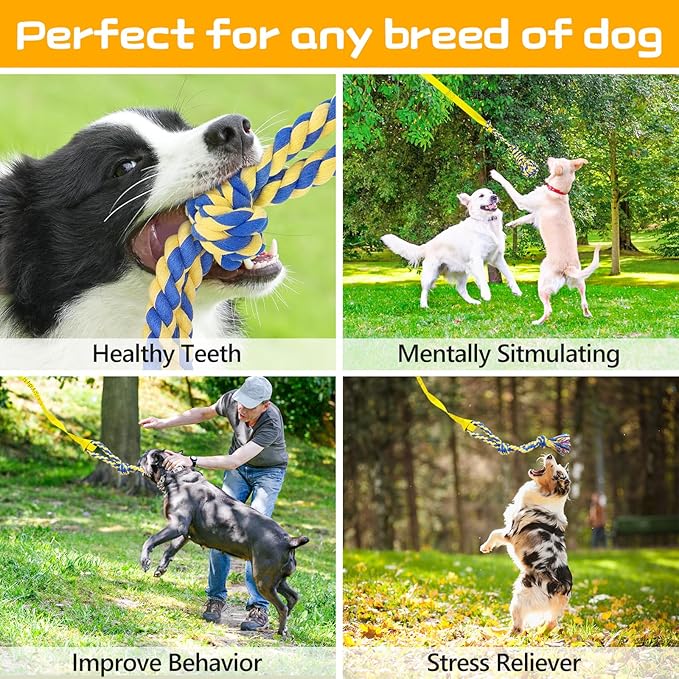 XiaZ Tug of War Dog Toy, Interactive Dogs Toy Bungee Hanging Tether with 2 Chew Rope Toys, Heavy Duty Puppy Outdoor Activity Aggressive Chewers Best Small to Large Boredom Exercise and Play (Yellow)