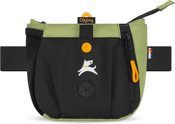 OllyDog Backcountry Day Bag | Hands-Free Dog Training Treat Pouch | Fanny/Hip Pack with Zipper Closure & Built-in Poop Bag Dispenser | Removable Waist Clip (Palm)