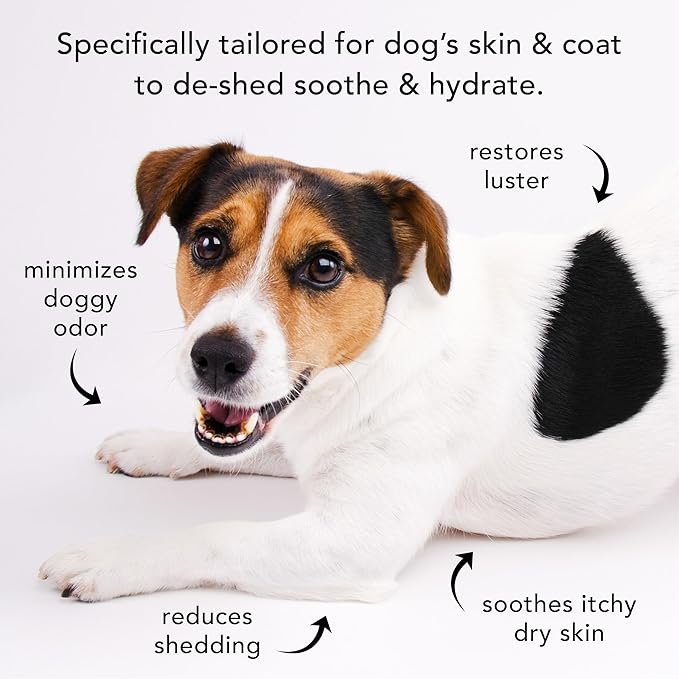 Pride and Groom The Shedder | Dog Deshedding Shampoo | All Natural Body Wash with Essential Oils & Ingredients That Reduce Pet Shedding & Fur Dander for Curly and Wavy Coats – 128oz