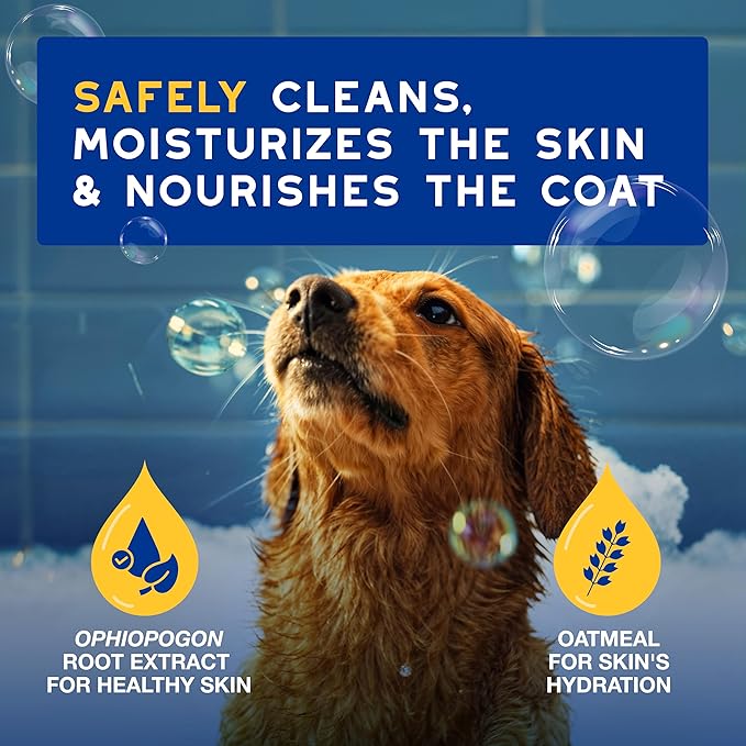 DOUXO Oatmeal Dog Shampoo, Ultra-Safe Hypoallergenic, Deep Hydration, Cleans and Enhances Coat, 16 Fl Oz
