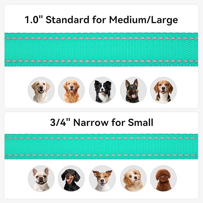 Joytale Dog Leash, 5 FT Double-Sided Reflective, Padded Handle Nylon Heavy Duty Leashes for Small Dogs Walking, Teal