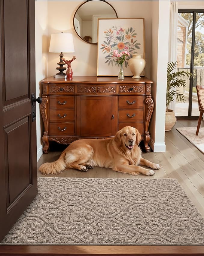 DEXI Front Door Entryway Mat Non Slip, 3x5 ft Large Washable Inside Entrance for House Floor Low Profile, Thin Entry Doormat Absorbent Dirt Trapper, Light Beige