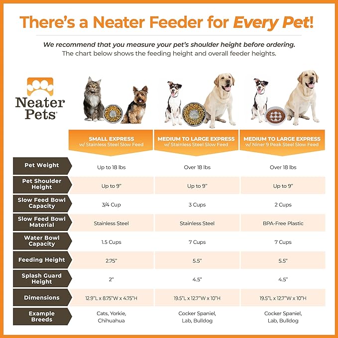 Neater Feeder Express Mess Proof Dog Bowls Elevated for Small Breeds Under 15 Lb, Made in USA, No Spill Raised Dog Food Bowl Stand, Stainless Steel Slow Feed and Standard Water Bowl Set, Cappuccino