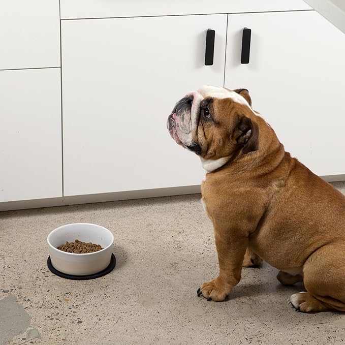 Waggo Habit Silicone Dog Placemat – Set of 2 Modern Heavyweight Silicone Dog Food Mats, Dishwasher Safe, Non-Slip, Solid Color – Black (Medium, 7")