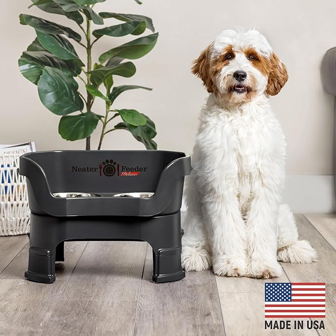 Neater Feeder Deluxe Mess Proof Dog Bowls Elevated Medium Sized Dogs (19-40 lbs) Made in USA, No Spill Raised Dog Food Bowl Stand w/Leg Extension, Stainless Steel Food and Water Bowl Set, Black