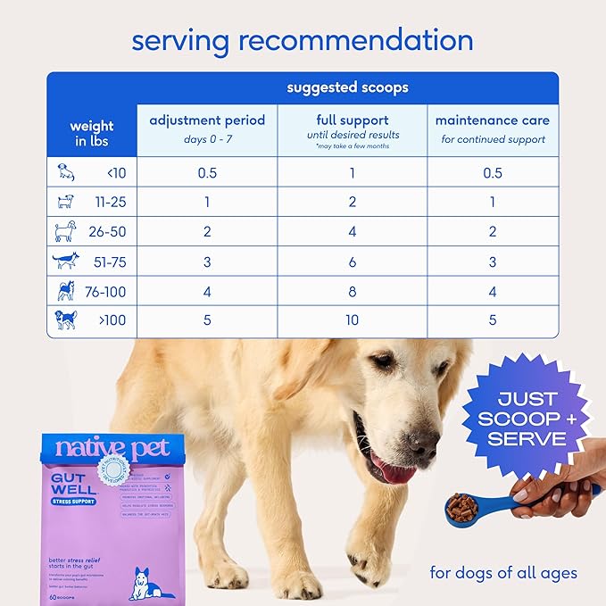 GutWell Stress Support - Dog Anxiety Relief & Calming Treats - Tasty Food Topper for Dog Stress and Anxiety Relief - Support Gut-Brain Axis with Triple-biotic Blend & Magnesium - 60 Scoops