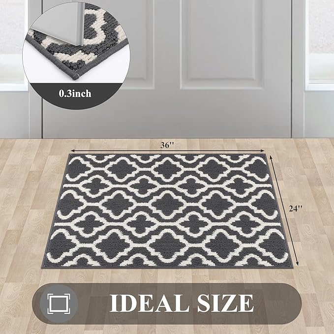 HEBE Indoor Door Mat 24''x36'' Non Slip Front Door Welcome Mats Washable Shoe Mats Dirt Trapper for Entryway Low Profile Kitchen Carpet for Entrance Hallways Entrance Mat for Dogs