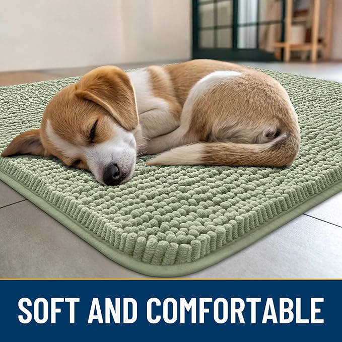 Smiry Dog Door Mat for Muddy Paws 59x35, Absorbs Moisture and Dirt Doormat, Non-Slip Washable Quick Dry Chenille Front Door Mat Indoor Entrance, Entryway Carpet for Inside Floor, Sage Green