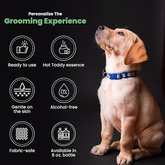 Best Shot Scentament Spa Seasonal Botanical Body Splash, Hot Toddy, 8 oz