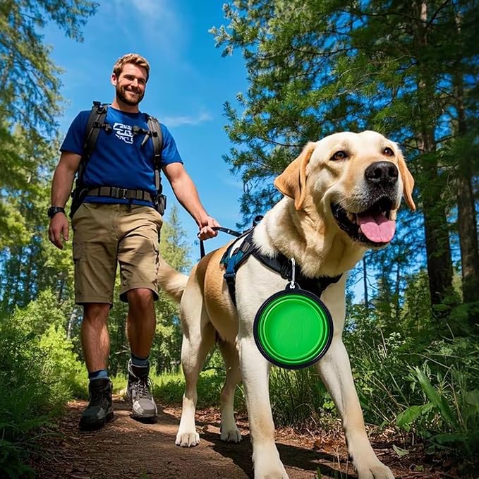 Dog Bowl Pet Collapsible Bowls, 2 Pack Collapsible Dog Water Bowls for Cats Dogs, Portable Pet Feeding Watering Dish for Walking Parking Traveling with 2 Carabiners (Blue+Green, Medium)