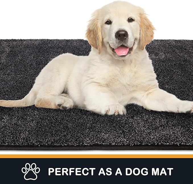 PURRUGS Dirt Trapping Door Mat 34" x 59", Non-Slip Machine Washable Entryway Rug, Dog Doormat, Indoor Front Door Mat, Super Absorbent Entry Rug for Muddy Shoes & Paws, Charcoal