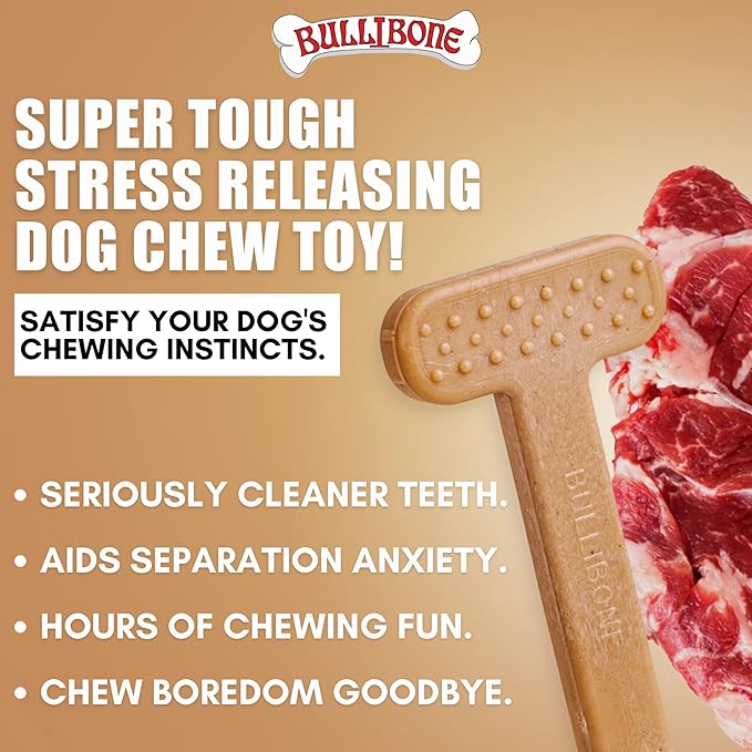 Bullibone Nylon Dog Chew Toy Nylon Bone - Improves Dental Hygiene, Easy to Grip Bottom, and Permeated with Flavor (Beef, Large - Single)