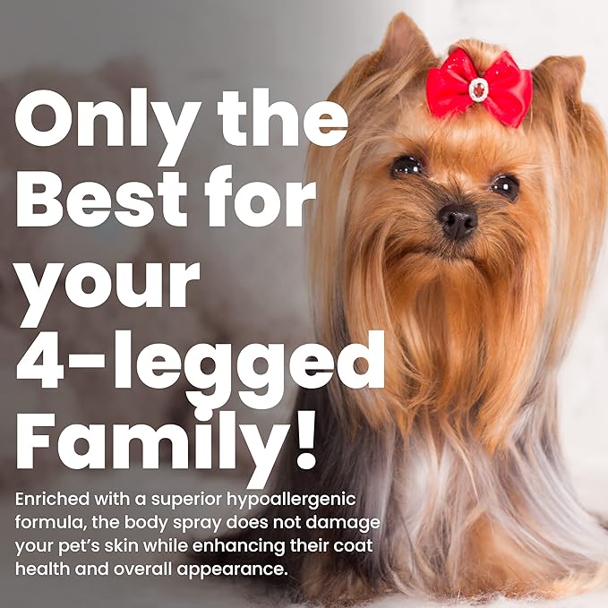 Best Shot Scentament Spa Seasonal Botanical Body Splash, Hot Toddy, 8 oz