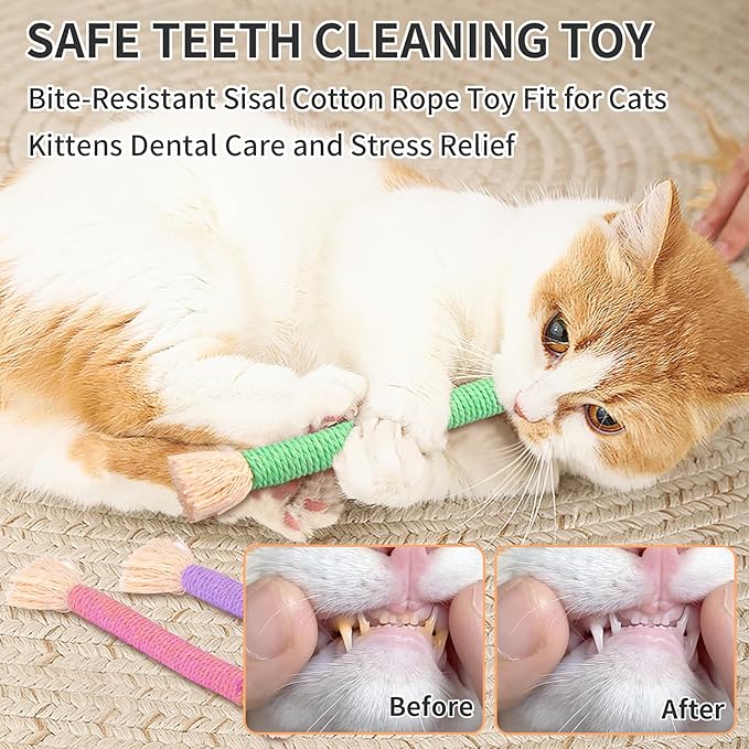 Retro Shaw 6Pcs Kitten Toys Chew Rope, Safe Teeth Cleaning Cat Toys for Indoor Kittens, Soft Cotton Interactive Refillable Catnip Toy for Cats Nip Kicker 6.1 Inches