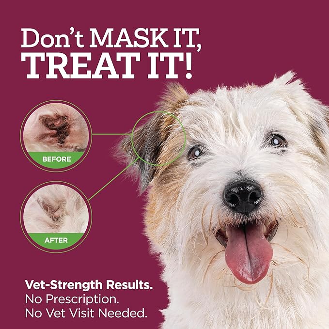 Vetality Medicated Otic Drops for Dog Ear Infection Treatment, 2 fl oz